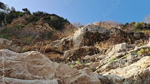 Close-up view of a rocky coastal hillside with dry grasses swaying in the wind, scattered shrubs, and rugged stone textures under clear blue sky, evoking a wild natural landscape.