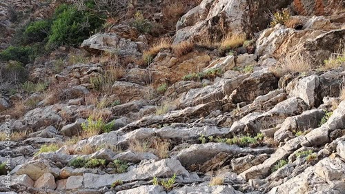 Close-up video frame of dry grass and green vegetation growing between rugged, layered rocks on a sunlit coastal hillside, capturing natural textures and earthy tones.