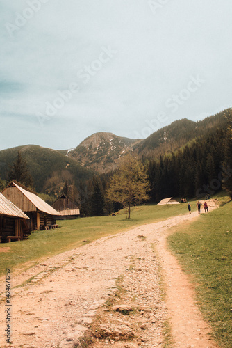 Mountain Cabins