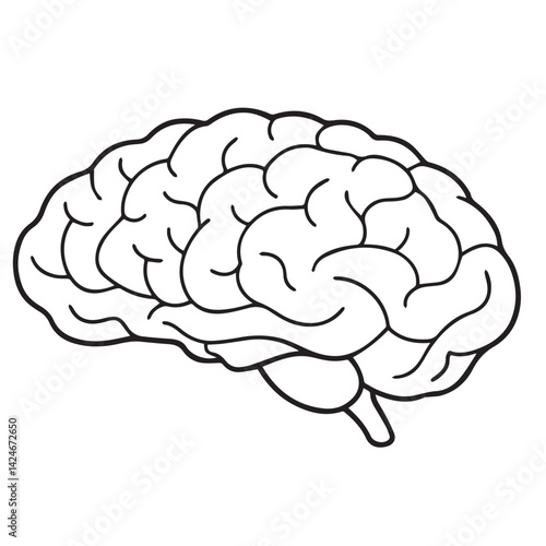 Human brain in vector art