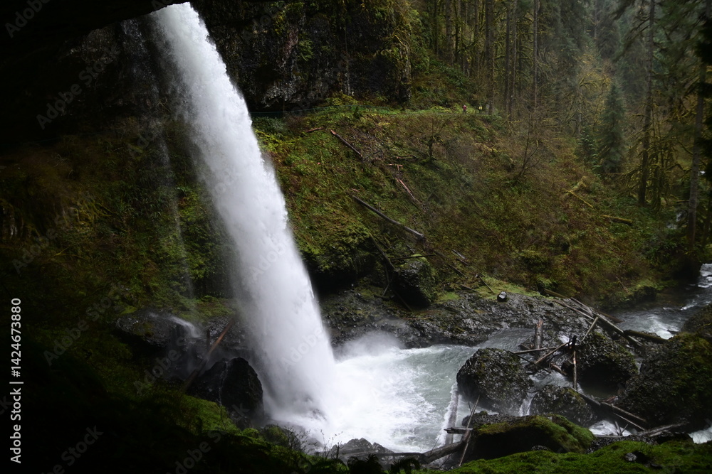 Fototapeta premium Beautiful view of Silver Falls at Silver Falls state park, Oregon