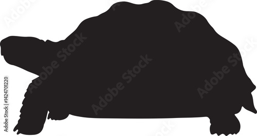 African Spurred Tortoise Silhouette on White Background