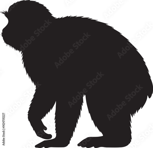 Allen's Swamp Monkey Silhouette on White Background