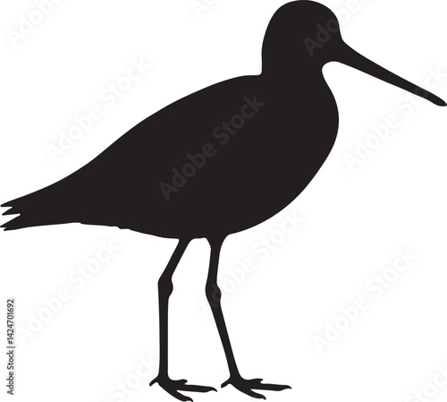 Godwit Silhouette on White Background