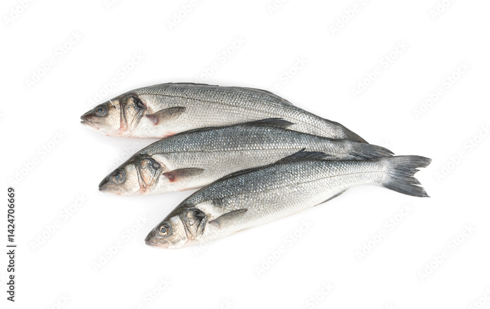European seabass or Dicentrarchus labrax, whole raw labrax, branzino fish, European bass European seabass or Dicentrarchus labrax, whole raw labrax, branzino fish, European bass