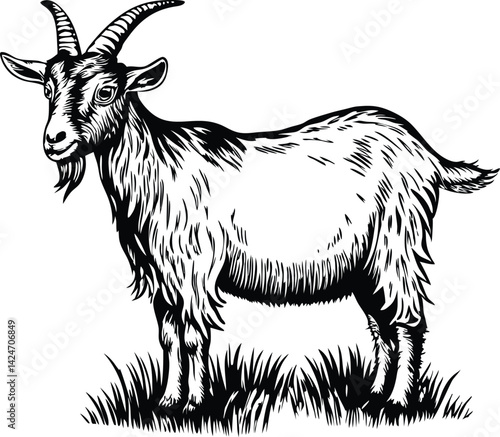 Mountain goat illustration showcasing wildlife, agriculture, and rugged terrain symbolism