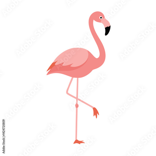 Flamingo: The Elegant Pink Wader