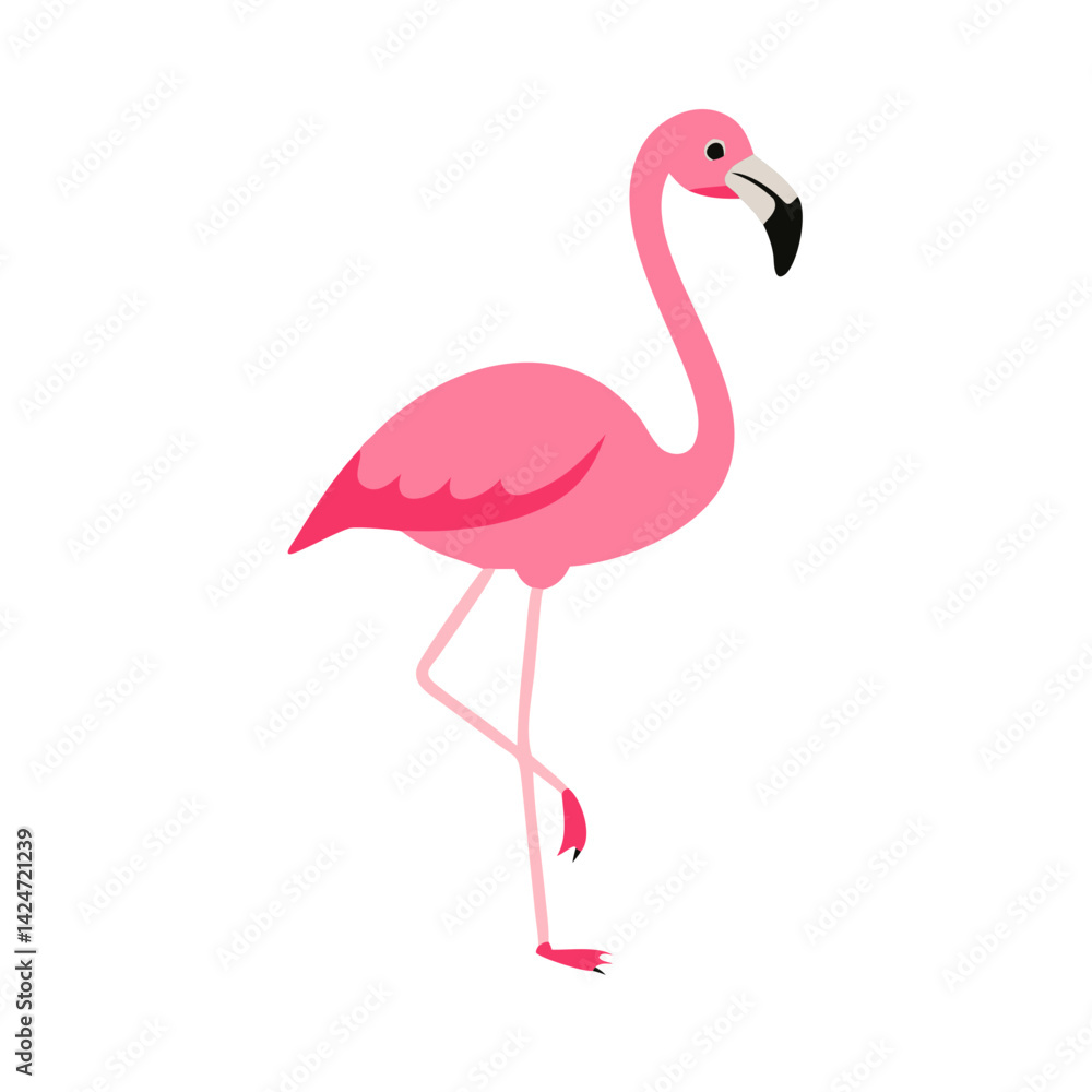 Flamingo: The Elegant Pink Wader Flamingo: The Elegant Pink Wader