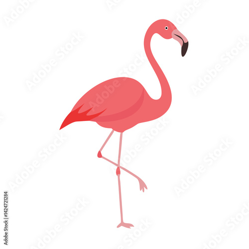 Flamingo: The Elegant Pink Wader