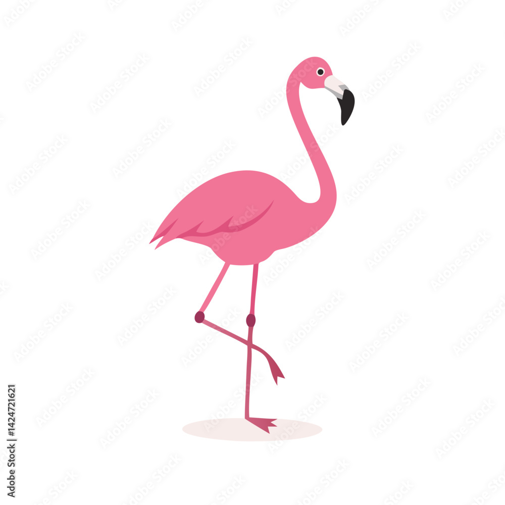 Flamingo: The Elegant Pink Wader Flamingo: The Elegant Pink Wader