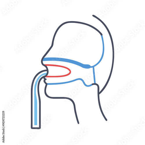 Human anatomy: Nasogastric intubation medical procedure diagram illustration