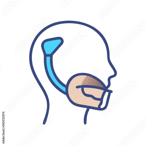 Human nasal cavity, pharynx and oral cavity illustration