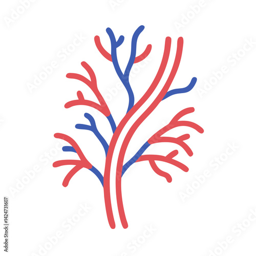 Arteries and Veins Illustration, Simplified Medical Anatomy Concept