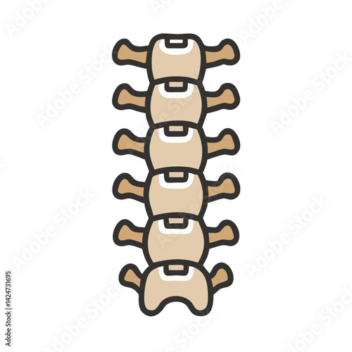 Spine anatomy, backbone with vertebrae and intervertebral discs