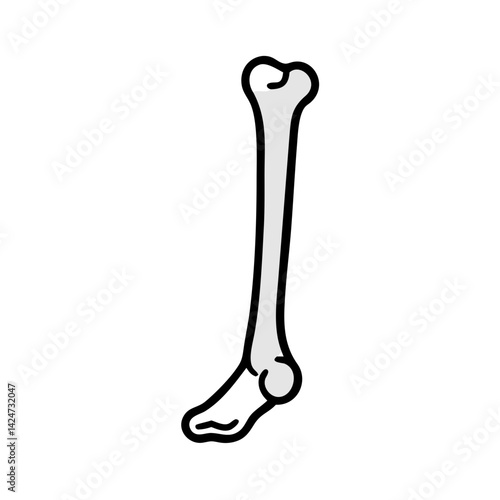 Isolated Femur Bone on Black Background Illustration