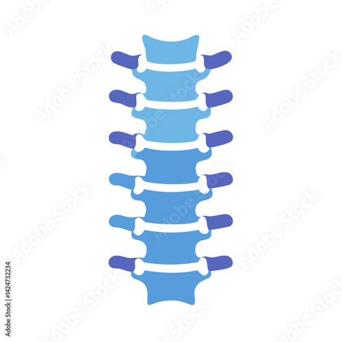 Stylized Lumbar Spine Illustration on Black Background