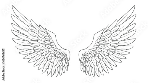 Black and white line art illustration of a pair of open wings.