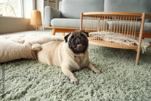 Cute pug dog lying on green...