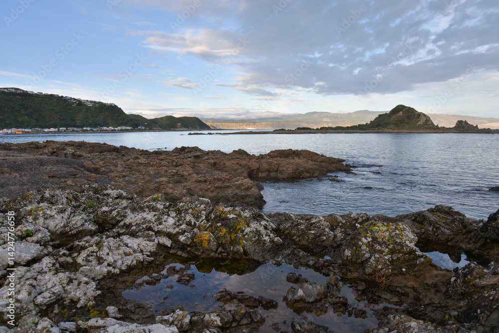Rocky foreshore at Island Bay Wellington New Zealand Rocky foreshore at Island Bay Wellington New Zealand
