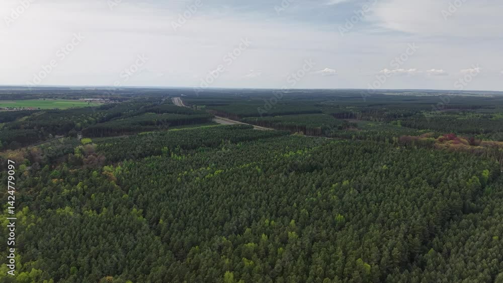 nature drone shot nature drone shot