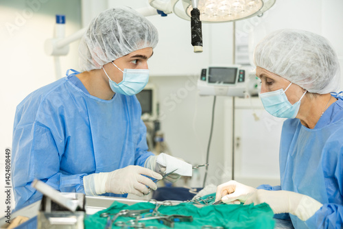 In veterinary clinic, mature female doctor provides surgical operation with male assistant help, guy helper of medical specialist give necessary tools scissors, clamps, surgical ligature