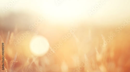 Golden sunlight streaming through tall grass in a summer field creates a warm, inviting atmosphere, enhanced by a stunning bokeh effect that adds a touch of magic to the scene