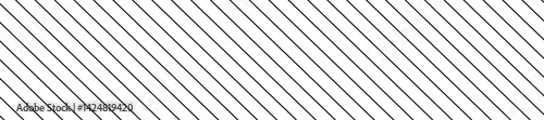 White diagonal slash line pattern. Tilt angle texture border embroidery. Flat vector illustration isolated on white background.