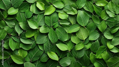 an abstract background of swirling green leaves, arranged by a professional photographer with soft professional studio lighting, creating a smooth, dreamlike effect