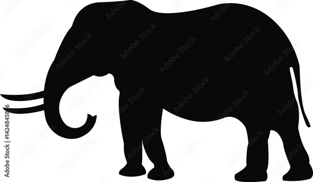 Obraz premium Silhouette Wild Elephant