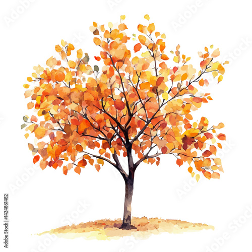 Pear tree in the fall, watercolor illustration, isolated on a white background.


