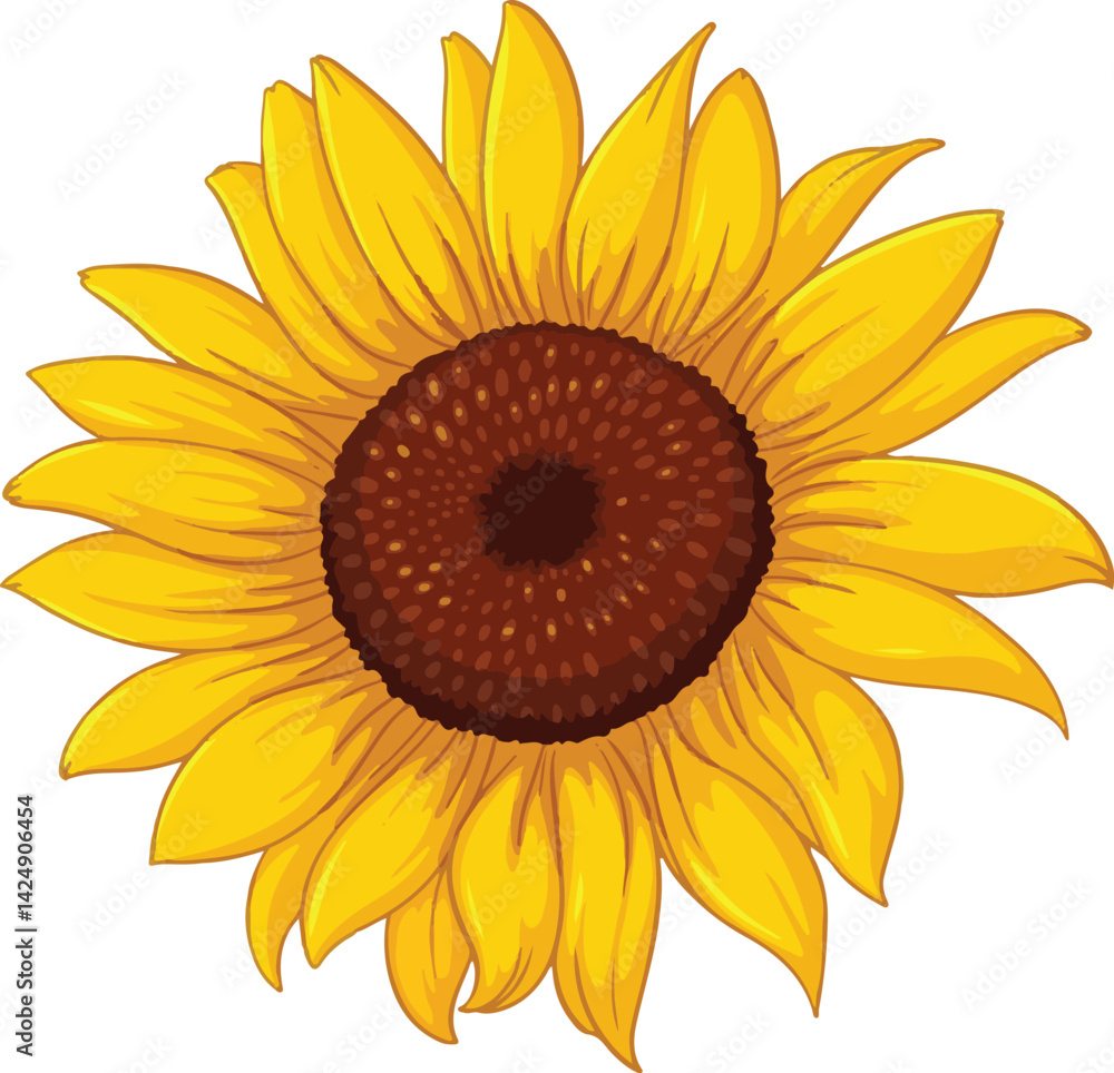 Sunflower Isolated on White Background PNG Clipart High-Resolution Sunflower Isolated on White Background PNG Clipart High-Resolution