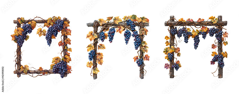 Decorative Grape Vine Frames with Leaves and Transparent Background