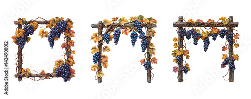 Obraz na płótnie Decorative Grape Vine Frames with Leaves and Transparent Background w salonie