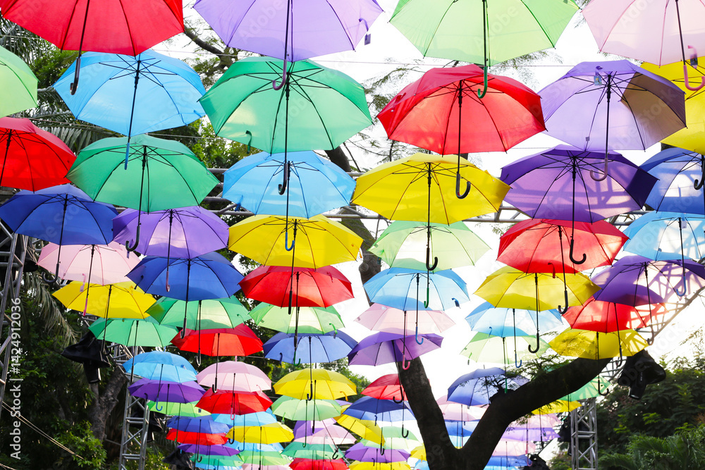 Obraz premium Lots of umbrellas and beautiful colors. Decorate the place