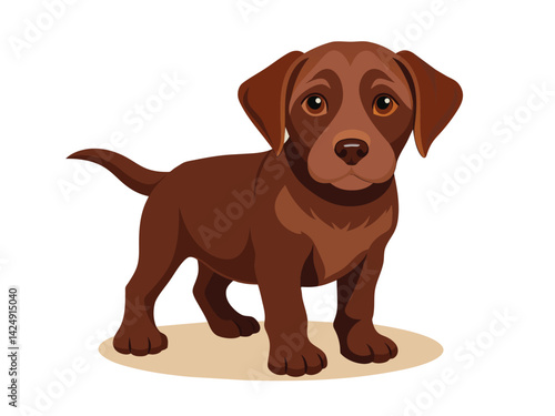 Cute brown chocolate labrador puppy, an adorable canine pet, is a purebred labrador looking and sitting