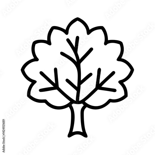 beech tree line drawn outline vector art - illustration of beech tree isolated transparent background