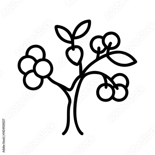 plum tree line drawn outline vector art - illustration of plum tree isolated transparent background