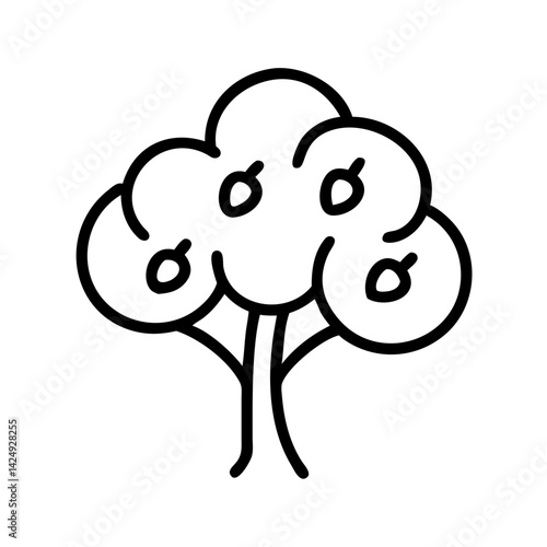 plum tree line drawn outline vector art - illustration of plum tree isolated transparent background