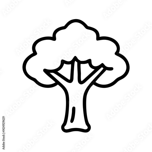 teak tree line drawn outline vector art - illustration of teak tree isolated transparent background
