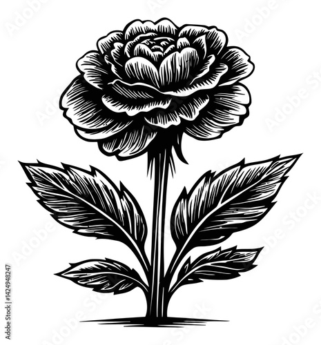 Detailed Black and White Engraving of a Rose with Leaves