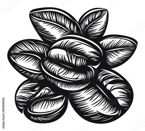 Black and White Engraving of Coffee Beans in Artistic Style