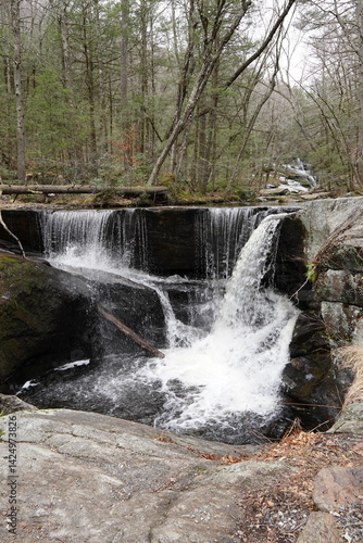 waterfall in the forest