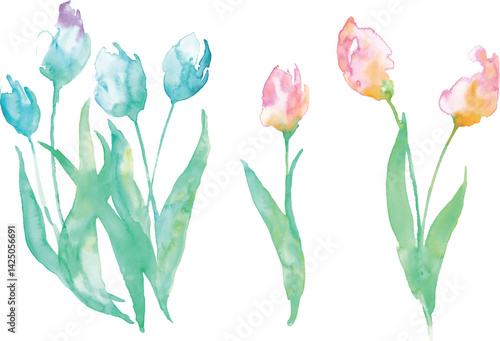 水彩画のチューリップイラスト。水彩タッチのチューリップベクター素材。Watercolor tulip illustration. Tulip vector material with watercolor touch.
