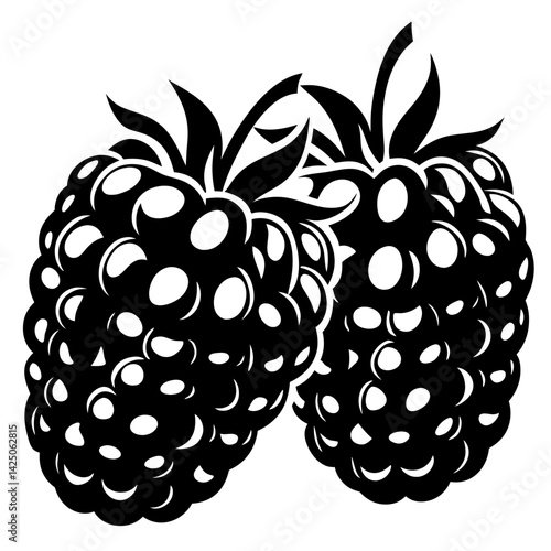 Two delicious blackberries presented in a stylish monochromatic black and white illustration