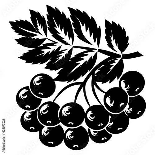 Black and white stylized illustration of rowan berries and leaves cluster
