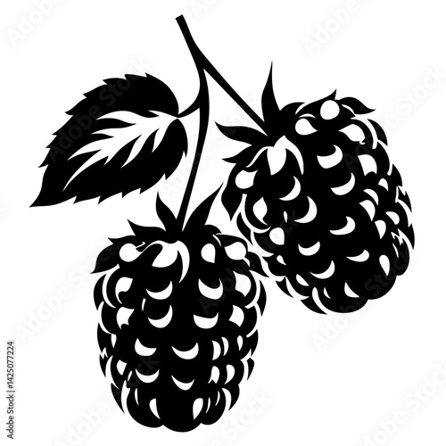 Black and white silhouette of two blackberries with a leaf branch