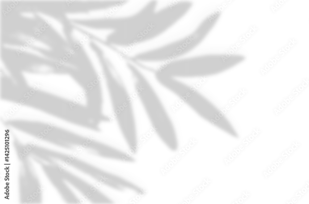Realistic blurred leaf shadow effect isolated on transparent background. blur branch leaves shadow. Plant foliage silhouette. Nature design element for spring summer, mockup for product presentation Realistic blurred leaf shadow effect isolated on transparent background. blur branch leaves shadow. Plant foliage silhouette. Nature design element for spring summer, mockup for product presentation