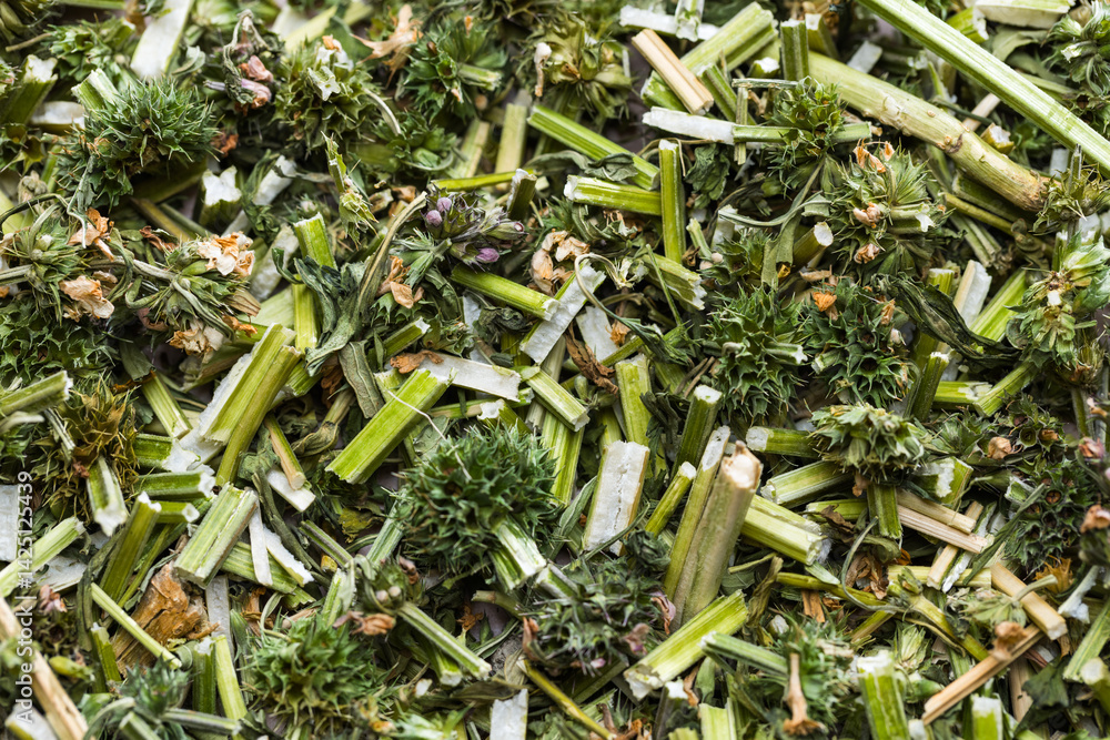 Close up of dried motherwort herb texture
