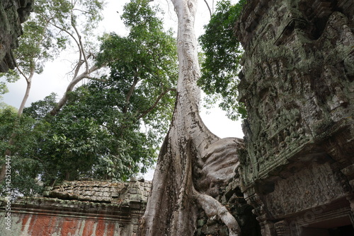 Cambodia