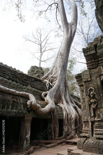 Cambodia